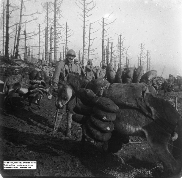 30.jpg - Photo 30 : 239e régiment d'infanterie